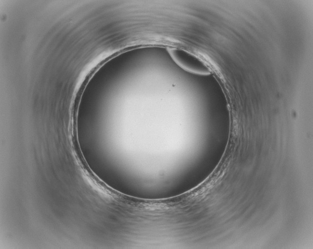 X0000060261136200511112014