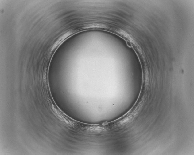 X0000060261137200511112014