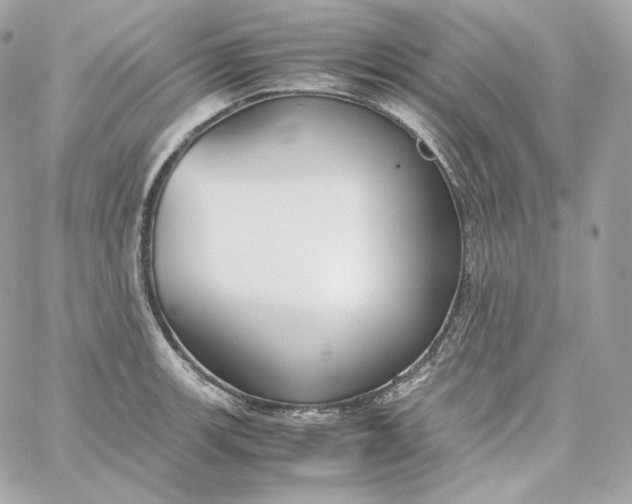 X0000060261139200511112014