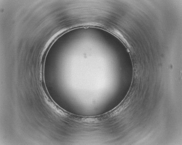 X0000060261140200511112014