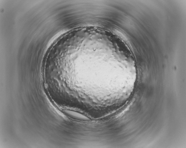 X0000060261141200511112014