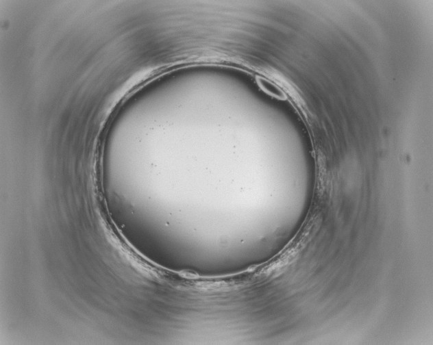 X0000060261142200511112014