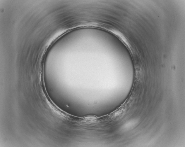 X0000060261143200511112014