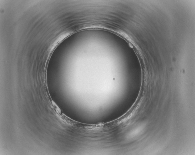 X0000060261145200511112014