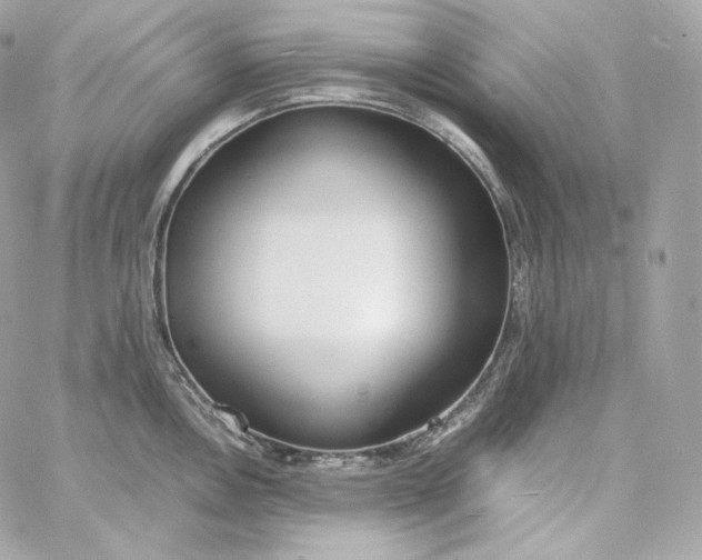 X0000060261146200511112014