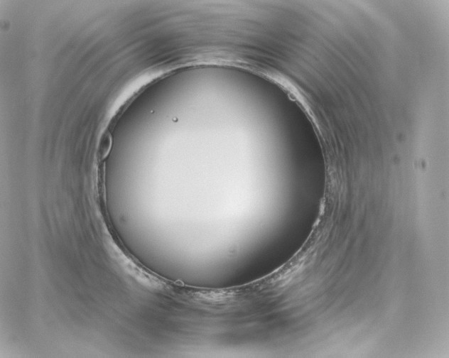 X0000060261147200511112014