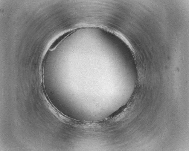 X0000060261148200511112014