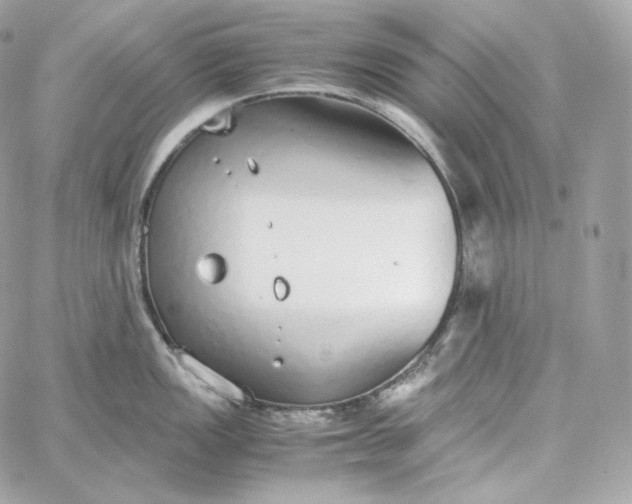 X0000060261149200511112014