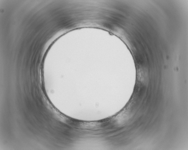 X0000060261150200511112014