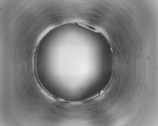 X0000060261151200511112014