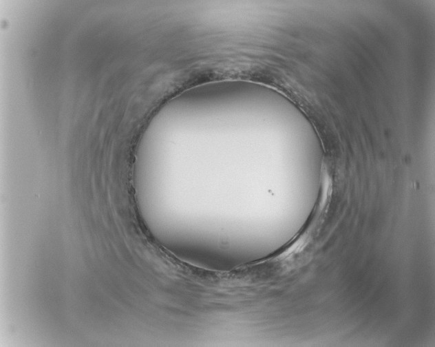 X0000060261153200511112014