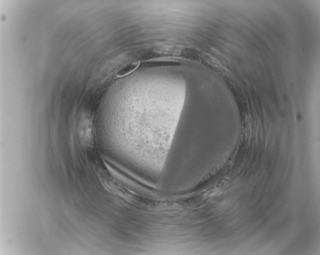 X0000060261154200511112014