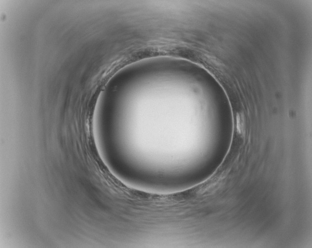 X0000060261155200511112014