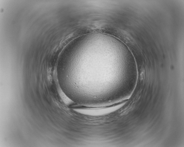 X0000060261156200511112014