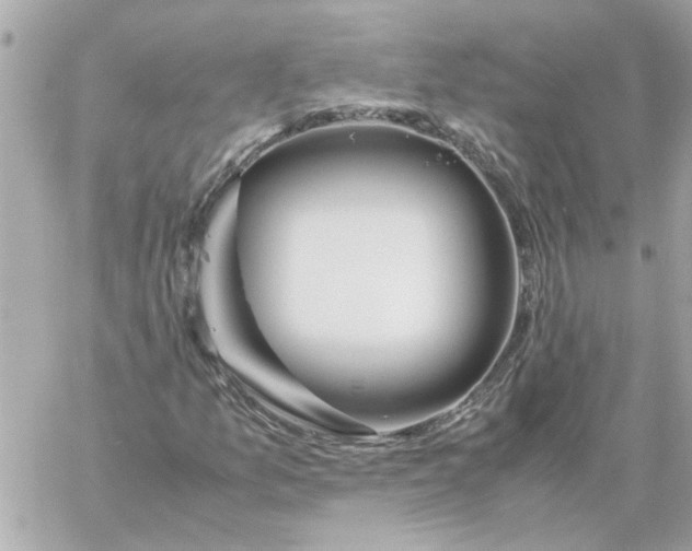 X0000060261157200511112014