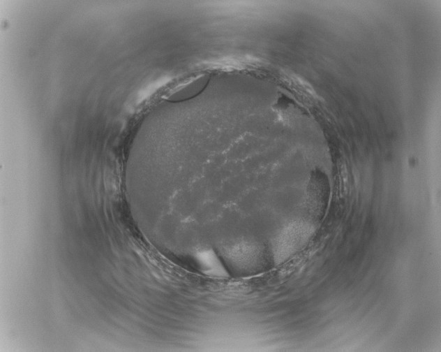 X0000060261158200511112013