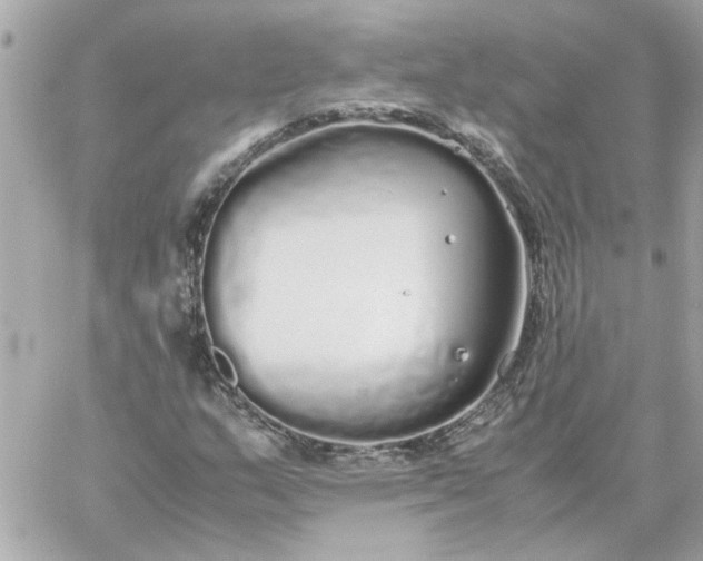 X0000060261159200511112013