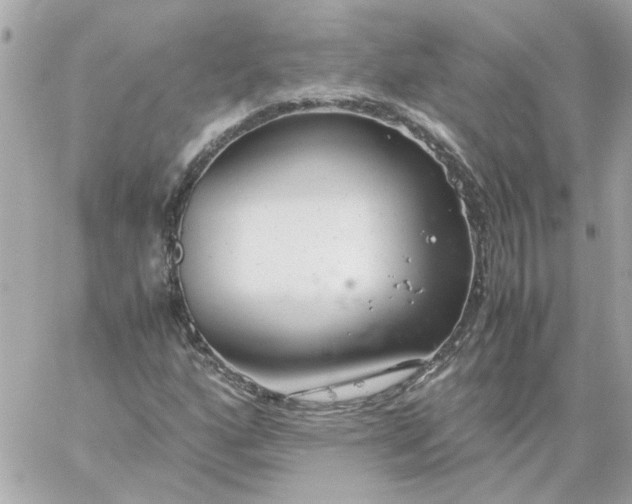 X0000060261160200511112013