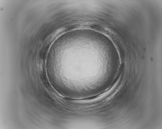 X0000060261161200511112013