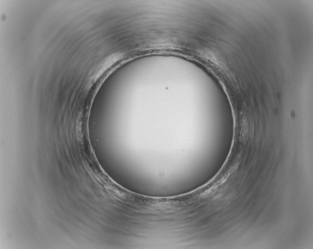 X0000060261162200511112013