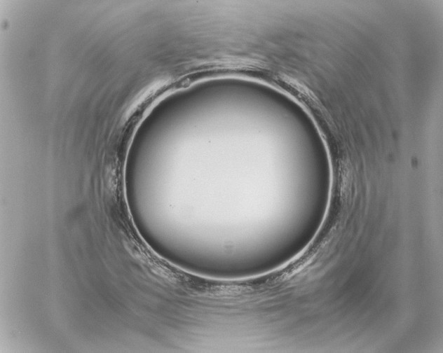 X0000060261163200511112013