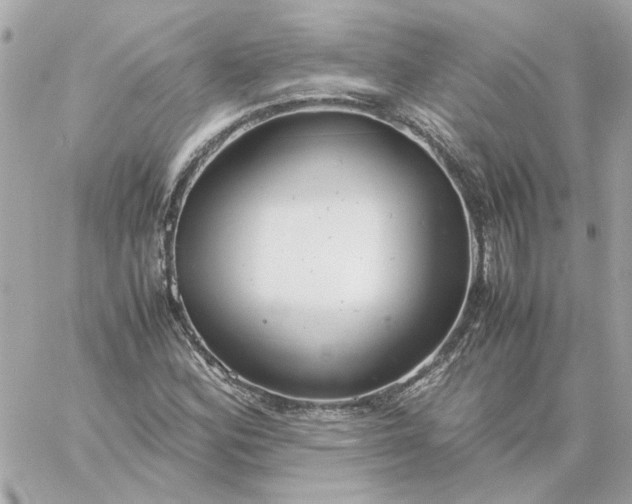 X0000060261164200511112013