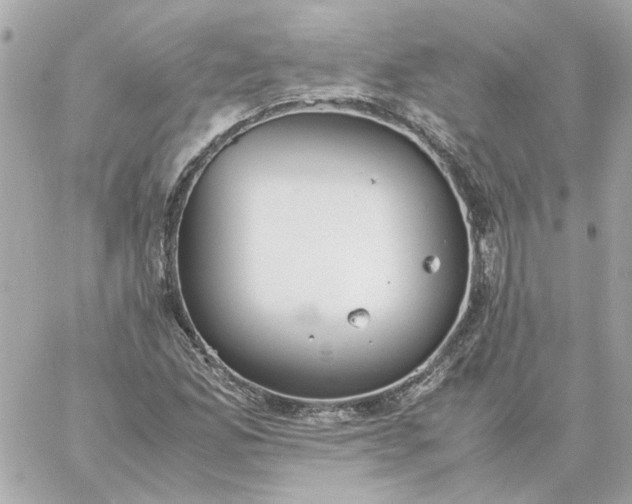 X0000060261165200511112013