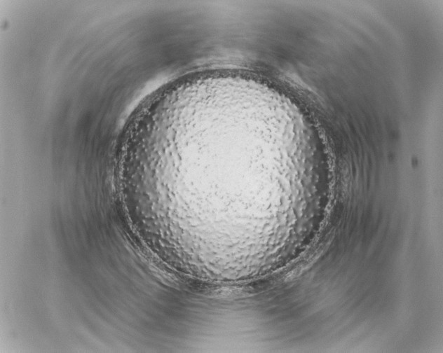 X0000060261166200511112013