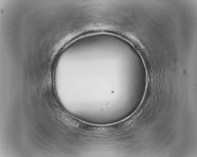 X0000060261167200511112013