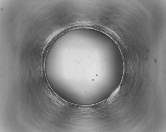 X0000060261168200511112013