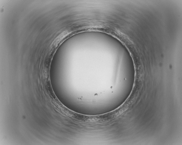 X0000060261169200511112013