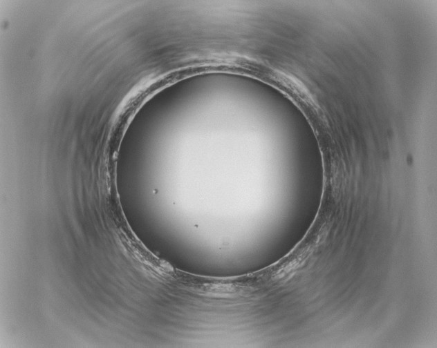 X0000060261172200511112013