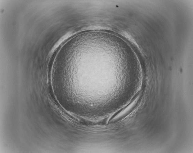 X0000060261173200511112013