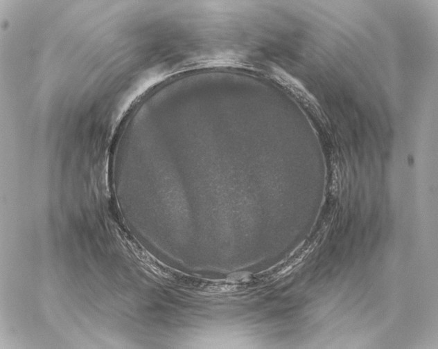 X0000060261174200511112013