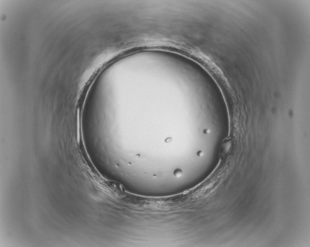 X0000060261175200511112013