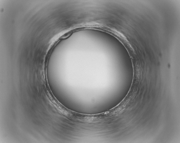 X0000060261176200511112013