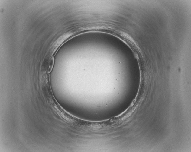 X0000060261177200511112013