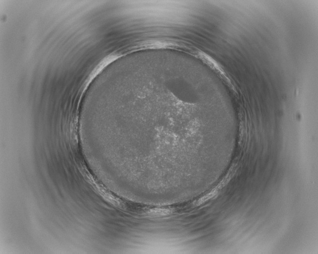 X0000060261178200511112013