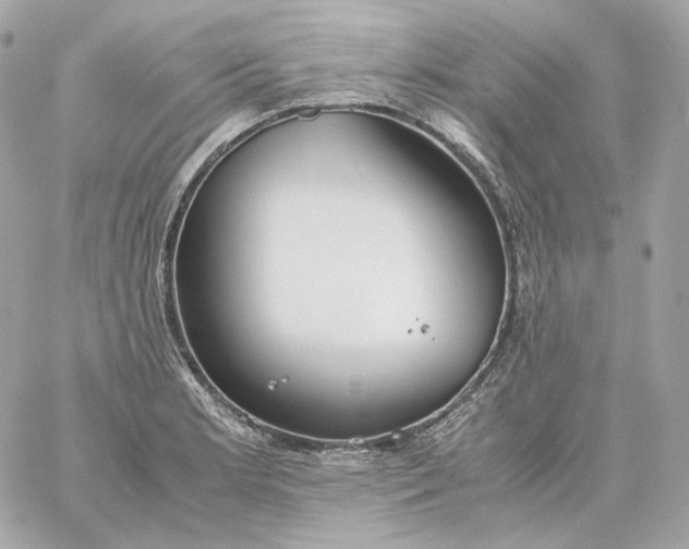 X0000060261181200511112013