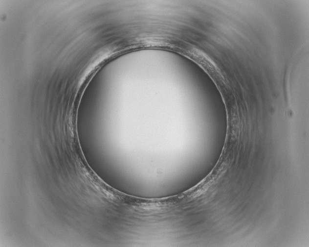 X0000060261182200511112013