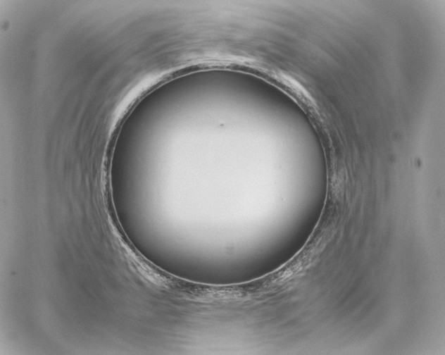 X0000060261183200511112013