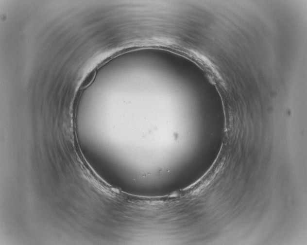 X0000060261184200511112013