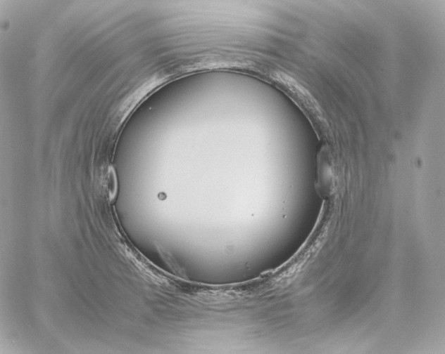 X0000060261185200511112013