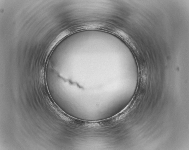 X0000060261186200511112013