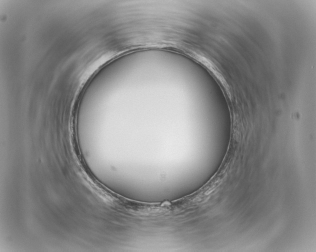 X0000060261187200511112013