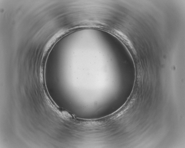 X0000060261188200511112013