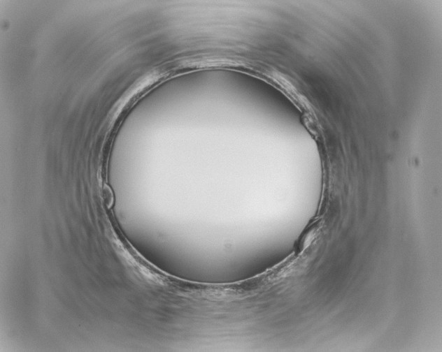 X0000060261189200511112013