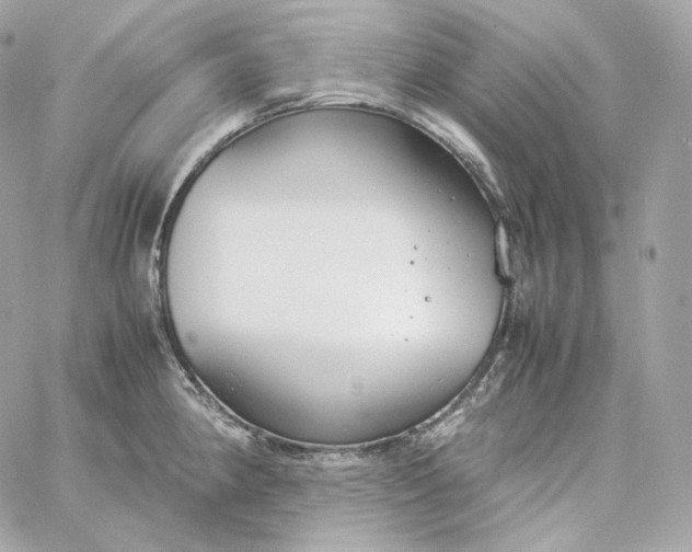 X0000060261190200511112013