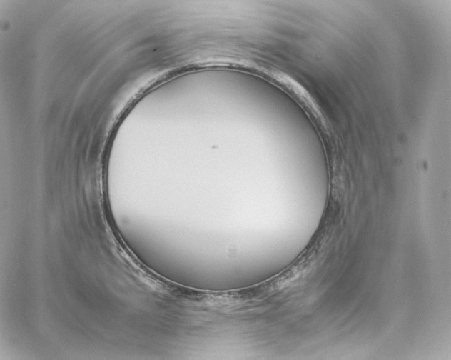 X0000060261191200511112013