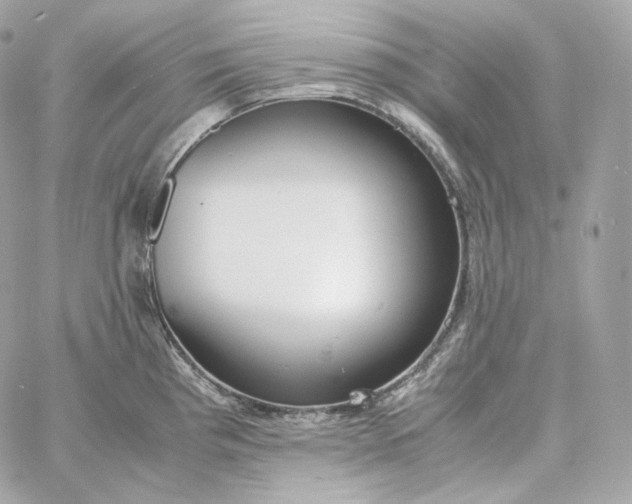 X0000060261193200511112013